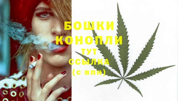 шишки Верхний Тагил