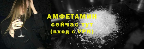 шишки Верхний Тагил
