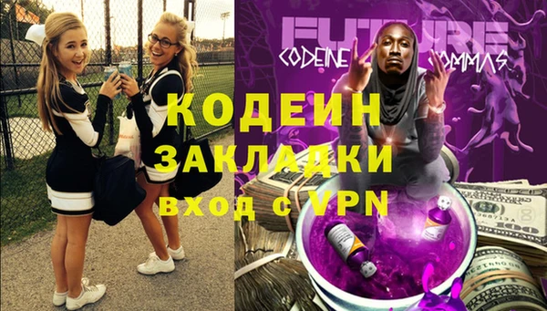 шишки Верхний Тагил