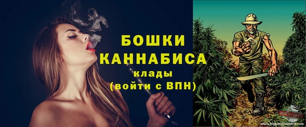 шишки Верхний Тагил
