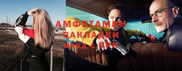 шишки Верхний Тагил